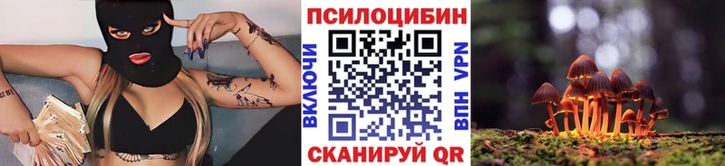 Галлюциногенные грибы GOLDEN TEACHER  наркошоп  Благовещенск 
